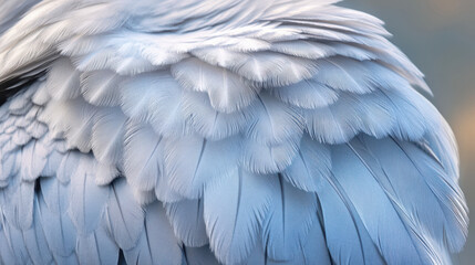 Obraz premium Close-up of a bird's soft blue feathers showcasing intricate textures and patterns