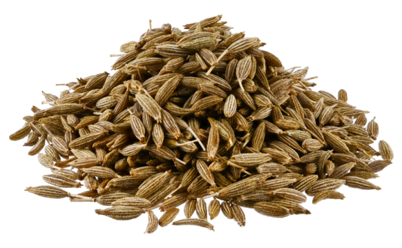 Pile cumin isolated on a transparent background. Completely in focus. Full depth of field. PNG.