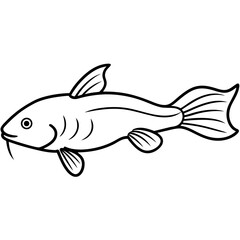 Corydoras catfish vector line art on white background