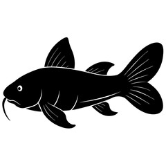 Corydoras catfish vector silhouette on white background