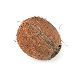 Whole coconut, one coco nut isolated, single fresh tropical palm fruit, natural milk, oil ingredient