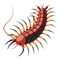Centipede