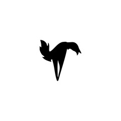 American bird Vector illustration