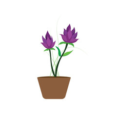 flower pot clipart minimalist plant decoration