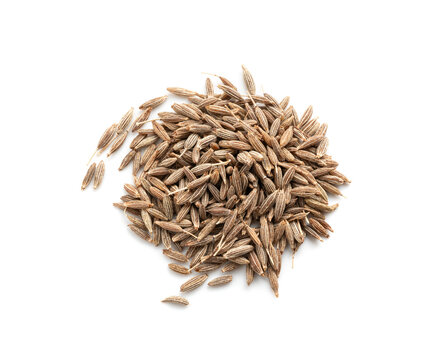 Cumin seed isolated. Caraway or fennel dry seeds close up, zeera macro, Indian cumin or zira grains