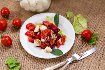 Appetizer with mozzarella, tomatoes and green leaves