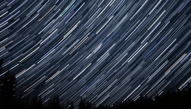 Time lapse of comet-shaped star trails in the night sky. Stars move around a polar star. Silhouettes of trees 4K