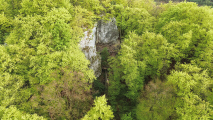 Tree canopy hides large stone cliff