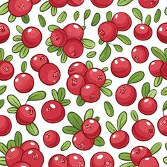 Cranberry Vector Illustration with Seamless Pattern Design