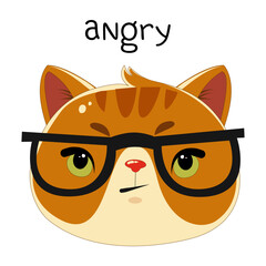 Сute cat face, feline head. Funny angry kitties looking. Ridiculous meme kitten emojis. Isolated flat vector illustrations