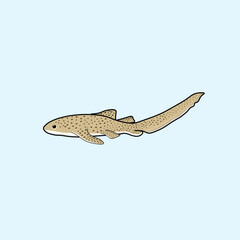 Animal Cute Cartoon Zebra Shark