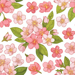 Sakura Vector Illustration with Seamless Pattern Design