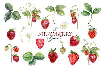 Watercolor strawberry set - watercolor berries, leaves, and flowers for packaging, invitations, and sublimation designs