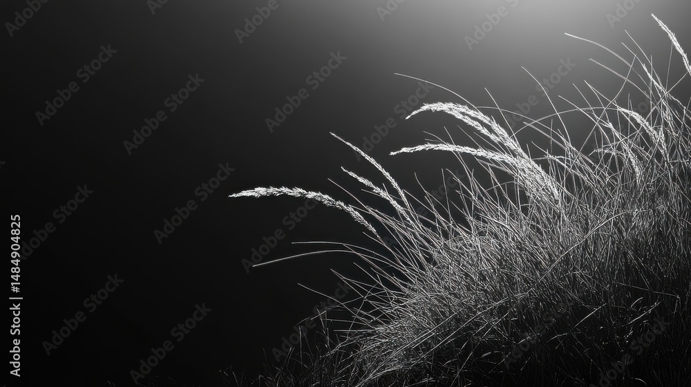 Poster abstract white and gray particle movement on dark background