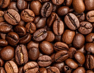 Spread of Roasted Coffee Beans 