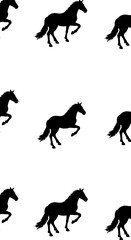 Black Stallion Dance