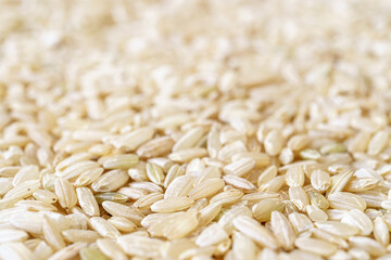 Full frame close up texture of brown rice for food and nutrition background healthy eating and cooking concept with copy space pattern of organic grains.
