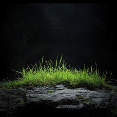 Luminous Green Grass on Dark Background