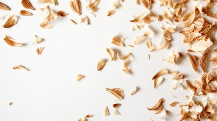 Fototapeta premium Dried Flower Petals Scattered on White Background: Minimalist Flatlay