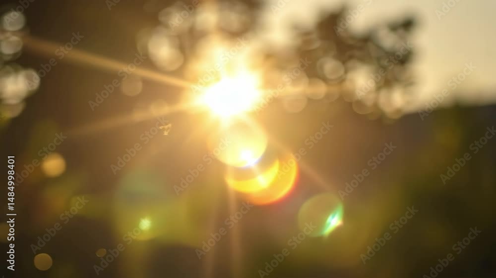 Poster sunlight through trees creating beautiful bokeh effect in natural environment