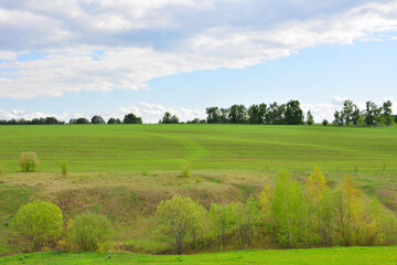 Green field and trees under a cloudy sky wallpaper