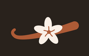 Vanilla flower and brown vanilla pod. Flat vector illustration in beige and brown on dark background.