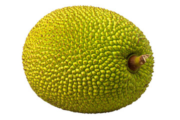 Realistic stock photo of a jackfruit, with a transparent background