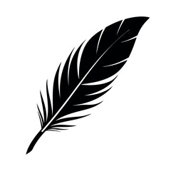 Fototapeta premium feather of bird isolated vector