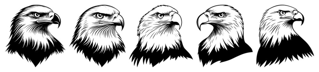 Obraz premium PNG Eagle art illustration black transparent background.