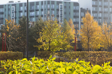 Autumn park path, cloudy sky and leaves