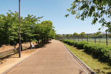 熊野市の山崎運動公園に続く並木道とフェンス沿いの遊歩道