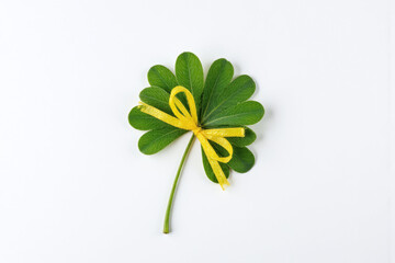 four leaf clover with a yellow bow on a white background
