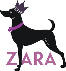 Zara, the Royal Dog