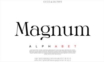 Luxury silver-magnum  alphabet letters font for logo