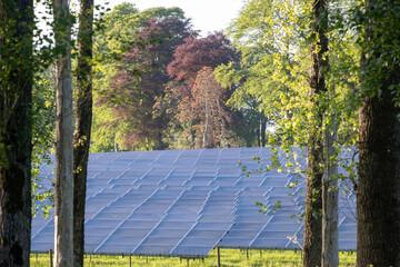 Rows of solar panels in a rural field surrounded by green trees, showcasing the harmony of nature...