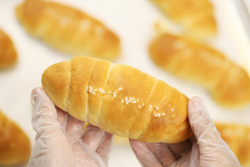Freshly baked bread rolls Shio Pan, perfect for breakfast or bakery product marketing, delicious golden crust and soft texture. pieces to accompany food.