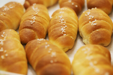 Freshly baked bread rolls Shio Pan, perfect for breakfast or bakery product marketing, delicious golden crust and soft texture. pieces to accompany food.