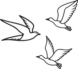 set of flying birds line art, black outline, vector and illustration, coloring book page line art drawing