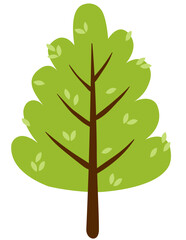 green tree isolated