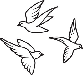 set of flying birds line art, black outline, vector and illustration, coloring book page line art drawing