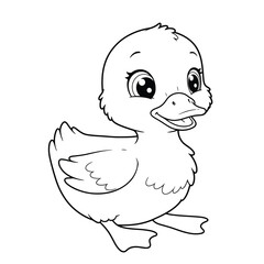 Duck Outline – Minimalist Line Art of a Waterfowl Bird for Nature, Farm, and Educational Design Projects

