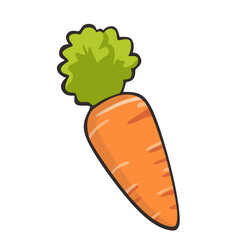 fresh orange carrots with leaves