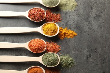 Many different spices in spoons on grey table, flat lay