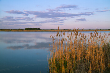 Jezioro i drugi brzeg w złotej godzinie z chmurami odbitymi w wodzie © KoLesfot