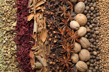 Many different spices as background, top view