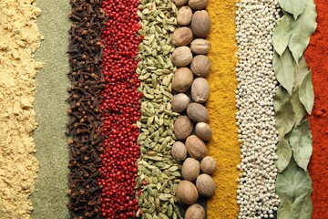 Many different spices as background, top view