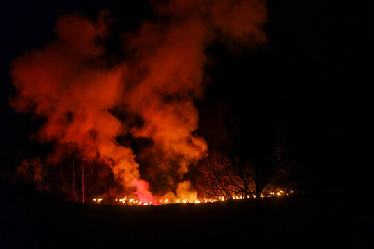 Krampus walk across a field in front of a wall of fire and smoke, silhouetted trees in the foreground. Krampus and St Nicholas, 5 December in Tarvisio, Friuli Venezia Giulia, Julian Alps, Italy.