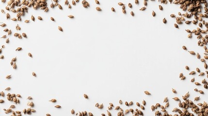 Brown Seeds Frame on White Background - Blank Space for Text