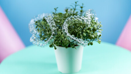 Removable transparent aligners for dental correction hang on the plant. Invisalign braces, dental care and orthodontics