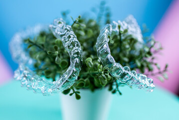 Removable transparent aligners for dental correction hang on the plant. Invisalign braces, dental care and orthodontics